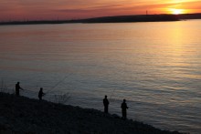 вечерний клев / рыбаки ловят на р. Волга