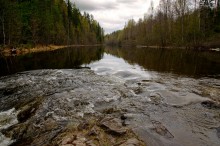 Карелия. Май месяц / недалеко от водопада Кивач