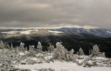 Морозная свежесть Карпат / за окном жарко - самое время вспомнить каково было в горах в канун Нового года...