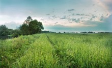 Мокрые кросовки / Р. Лесная, утренняя дорога вдоль берега.