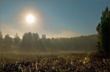 С первыми лучами. / ******