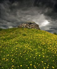 «муравейник....» / stones kollection