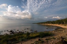 Тропа вдоль моря / Балтийский берег