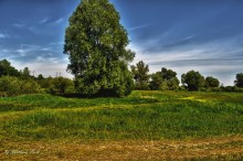 лето / май 2011