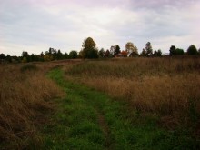 д. Резвино / Кипеловский район, Вологодская область, деревня Резвино.