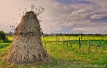 &nbsp; / Когда приходит лето, все становится второстепенным