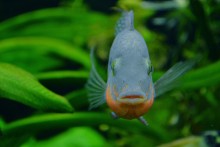 *Underwater* / Приятного просмотра!