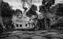 дерево, камень,храм. / дерево, камень,храм. Все смешалось дерево выросло прямо на храме.
Ангкор
