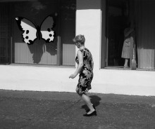 Бабочки / Минск, июнь 20111