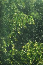 Живая абстракция / Эксперимент...