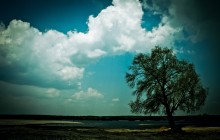 Тревога / .....