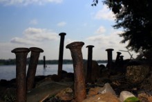 Сквозь время и воду / На берегу реки Шексна. Загадочная жизнь гвоздиков.