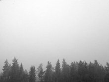 Цямнее край зубчаты бора... / Цямнее край зубчаты бора...