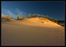Мир дюны IV / Литва.Куршская коса