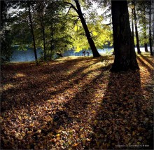 ПРО ПЕСНЬ ОСЕНИ ТОЙ... / осень на Крестовском...