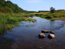 По камешкам / река Масляная, Кипеловский район