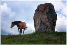 ...налево пойдешь - коня потеряешь... / Камень на самом деле выше коня.