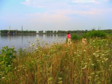 Отдых на природе. / Лето. Побережье водохранилища.