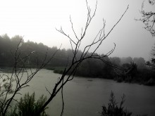 туманное утро на болоте / утро, туман, болото