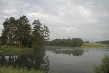 Утро / туман