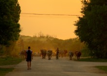 вот моя деревня / вечерело