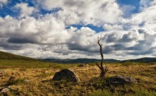 Этюд об одиночестве II / Горный Алтай, равнина перед Улаганским перевалом, летнее утро\