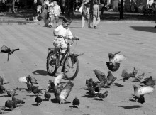 Атака... / Мальчишка, велосипед, голуби...