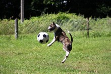 Нюша в прыжке:) / игра в футбол