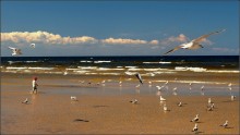 Красная Шапочка / Юрмальский пляж в хорошую погоду