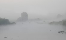 В тумане / Вот такое туманное утро
