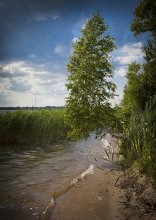 На краю… / озеро нарочь