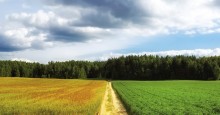 Геометрия природы / .........