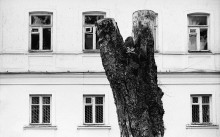 &nbsp; / **************