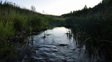 &quot;Наступает ночь...&quot; / Вологодская область, Кипеловский район, река Масляная