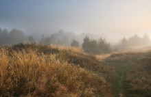 За грибами / Карелия