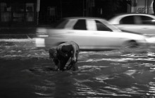 Ща, я вам водичку спущу... / После ливня дорога превратилась в реку, а этот мужик ходил и открывал ливневые решётки, причём нырял руками в воду точно, как будто видел сквозь мутный поток...