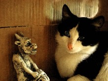 На свете счастья нет... / покоя и воли тоже