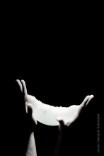 The moon / .....