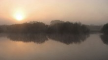 Утро / утро туманное на Березине
