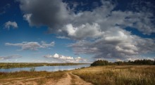 Осень над Днепром / около Речицы