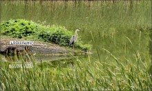 еще не осень... 3 / .........................