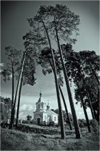 Сельская церковь / Церковь д. Смоляница на Пружанщине, в окружении вековых сосен