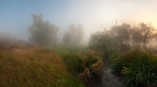 Очарованные Туманом / пейзаж