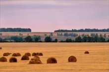 Сон агронома. / ********