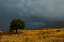 Картина маслом / Узбекистан, Горы, Гроза