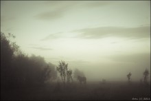 / 3 часа утра. Лето.