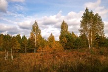 Краски сентября / __________________*