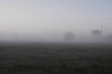 В туманной пелене / утро, туман, луг