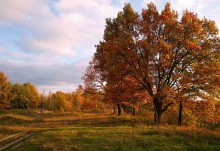 Осенней тропою-2 / _____________________*