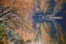 Осень на реке / Свислочь